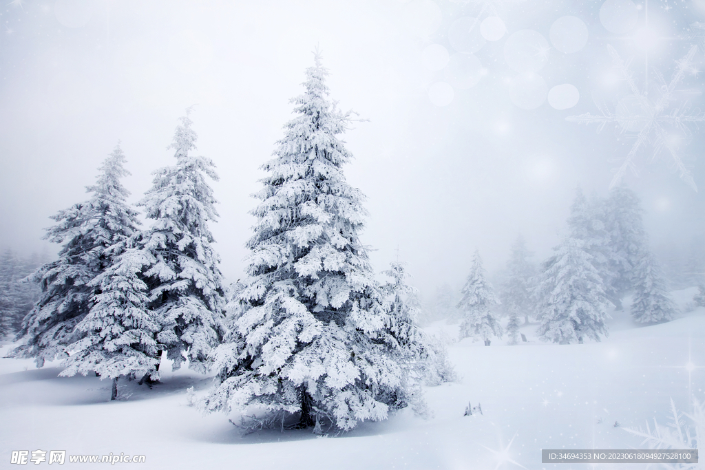 冬天大雪美景