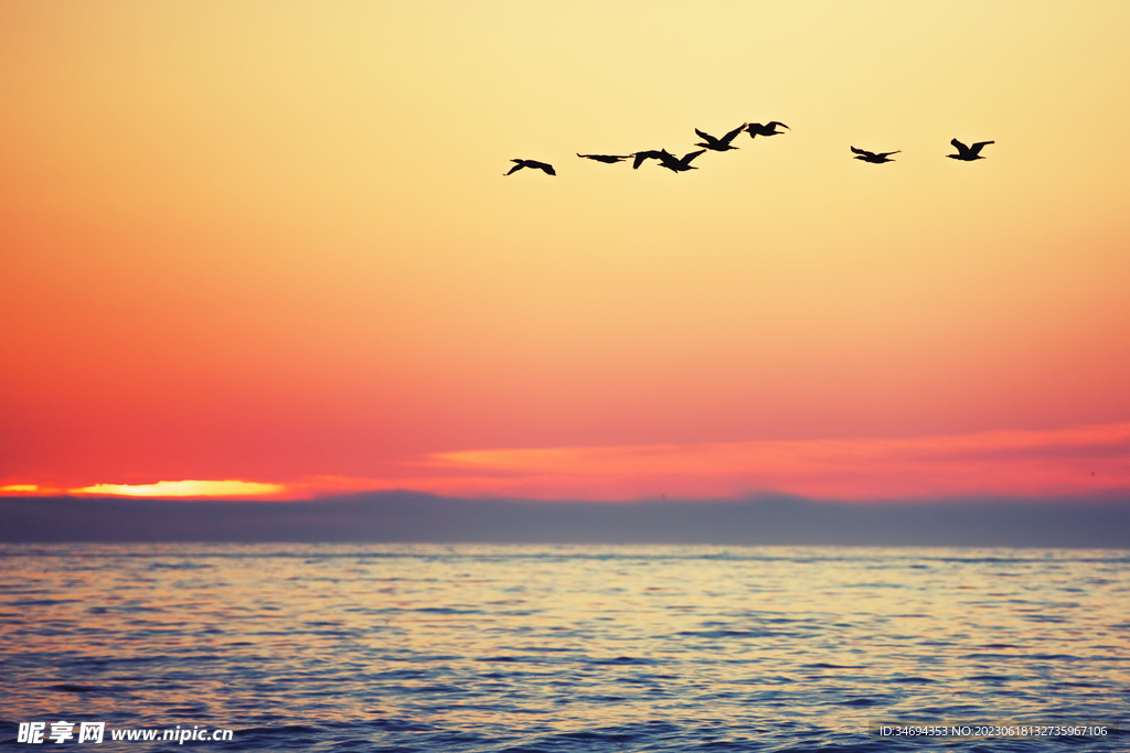 大海夕陽美景