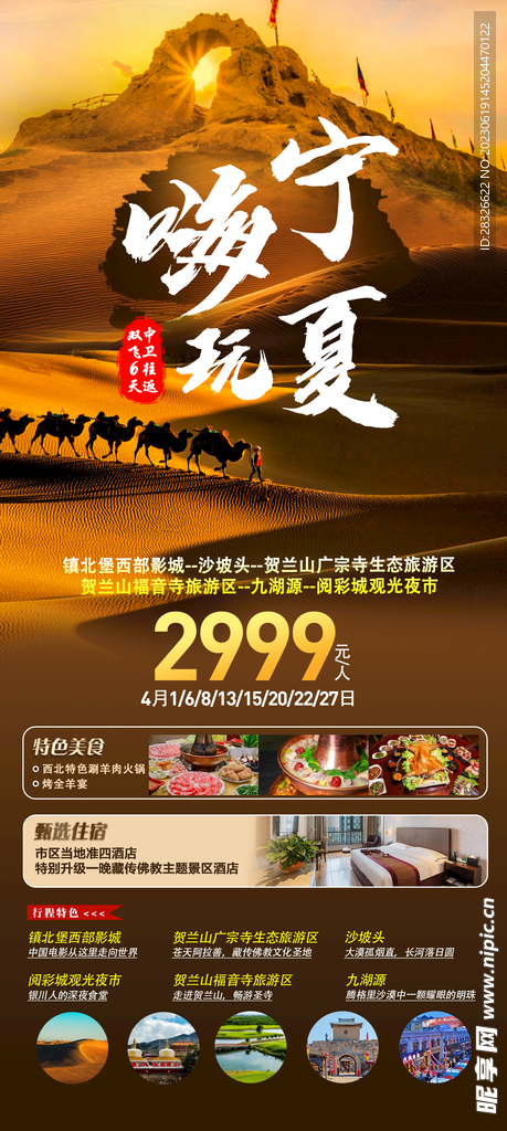 沙漠駱駝