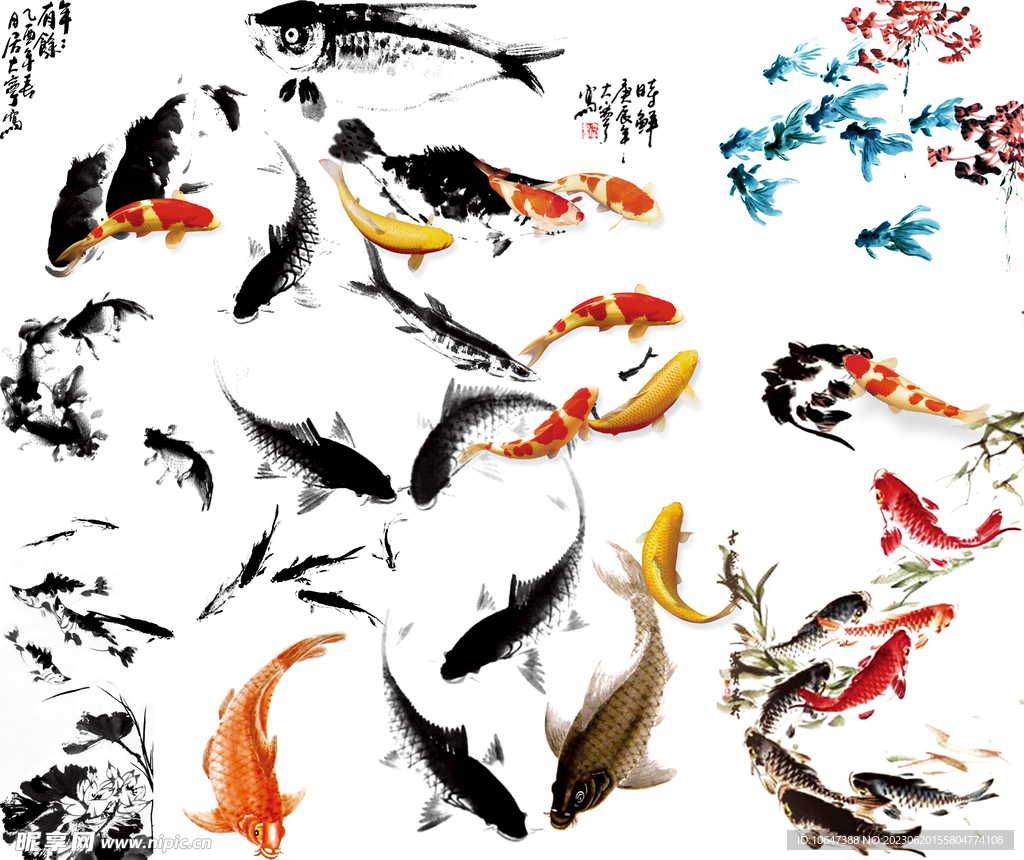 魚