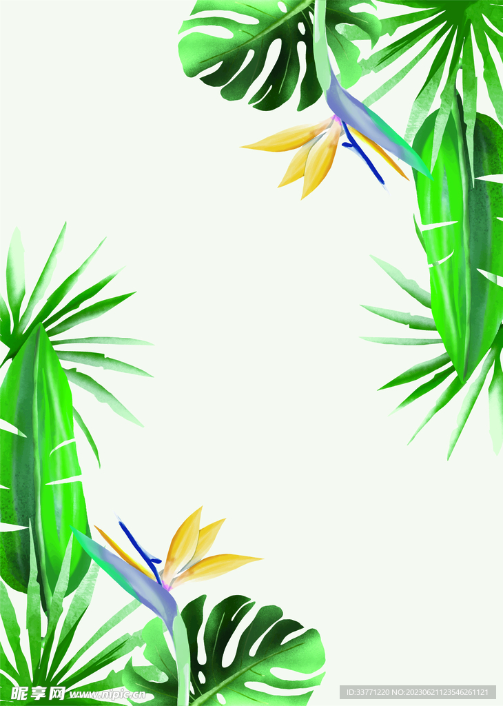 熱帶植物背景