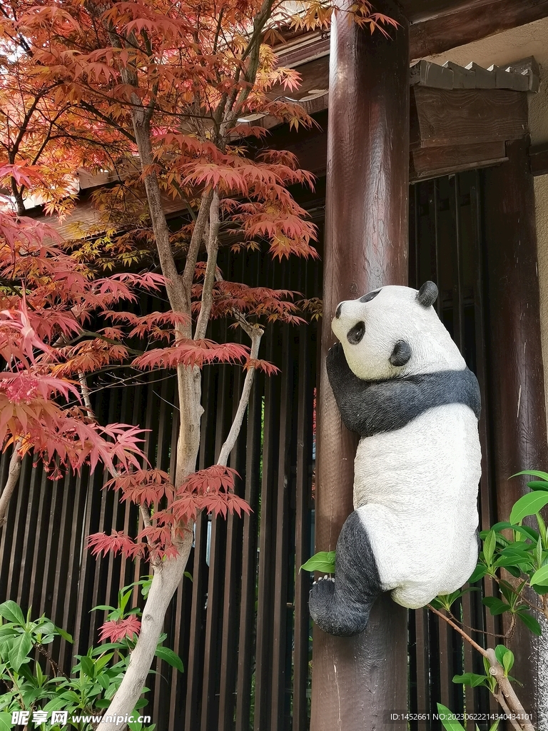 无锡拈花湾熊猫上树