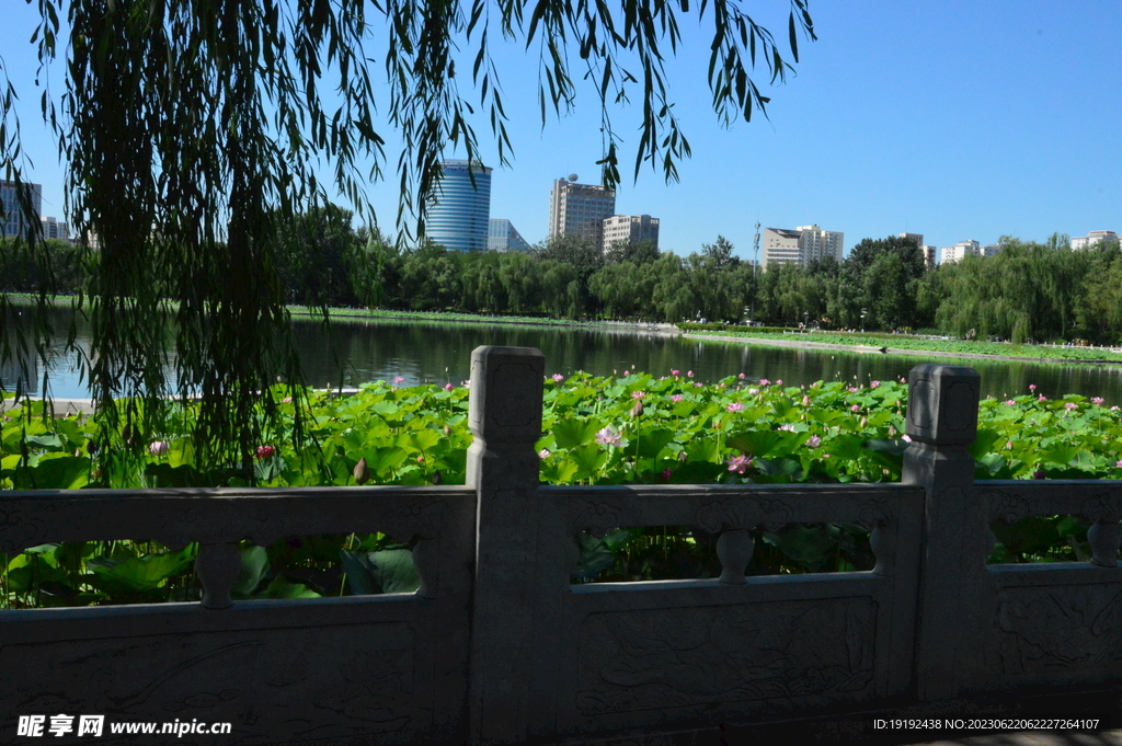 公园风景