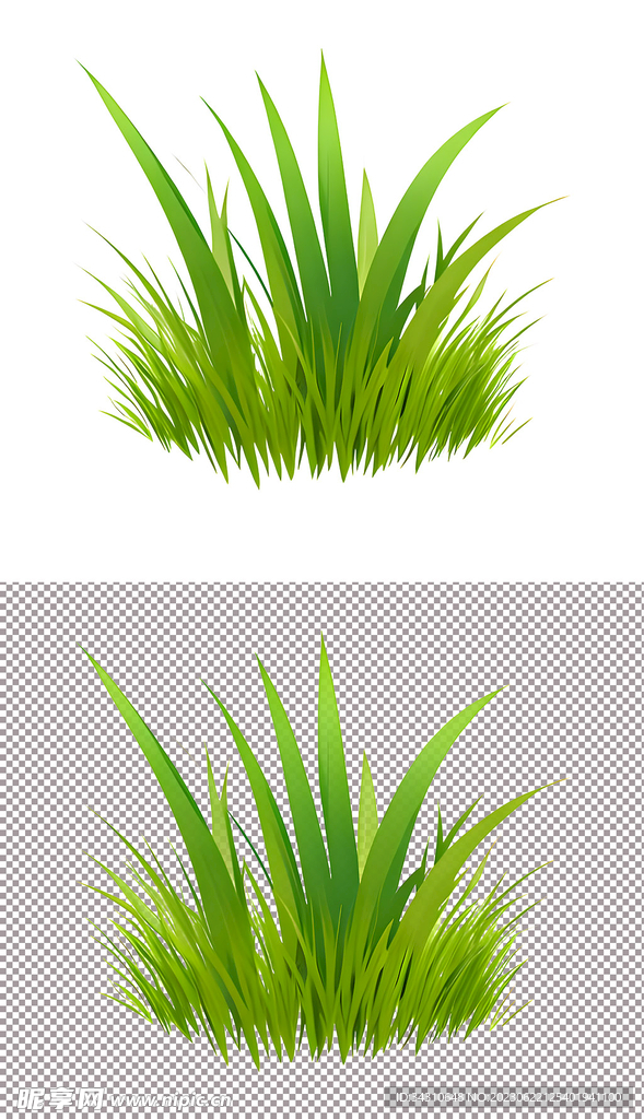 小草地草坪植物