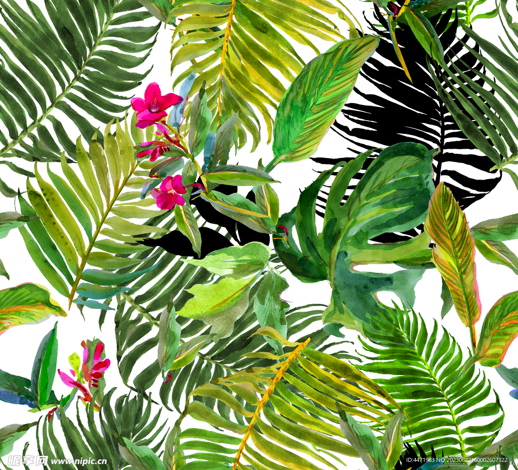 綠植背景 
