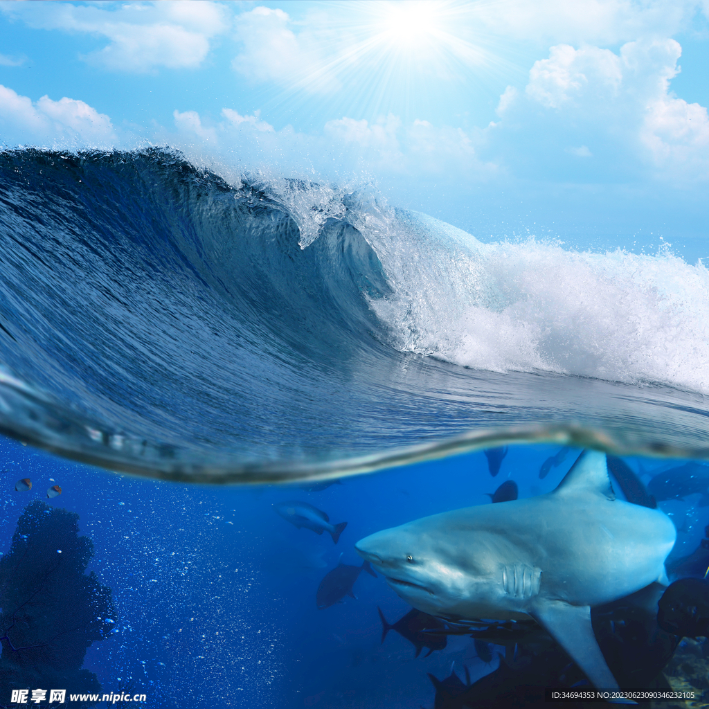 海浪 