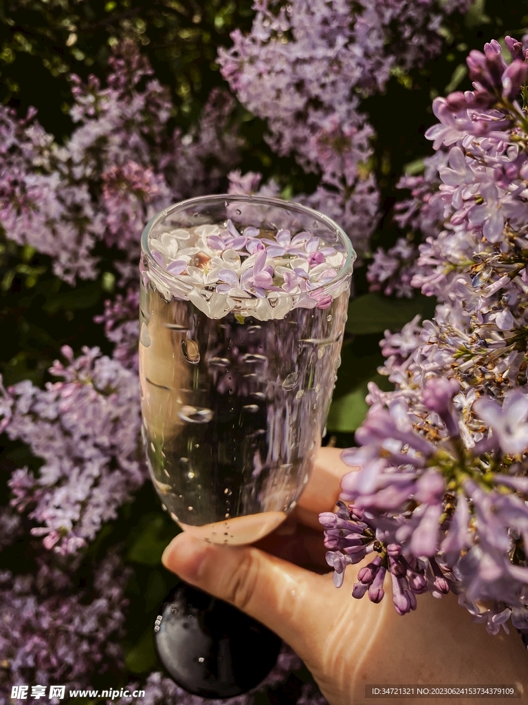 鮮花泡水