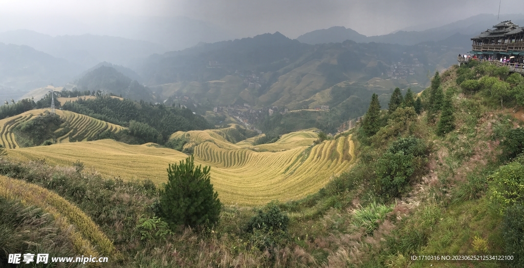 龍脊梯田