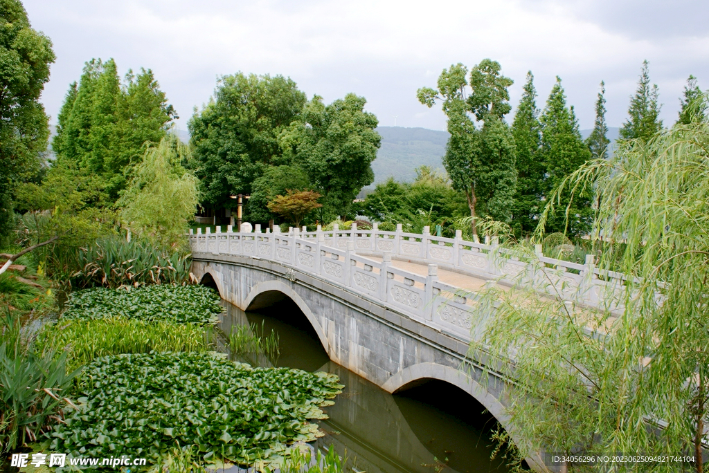 橋