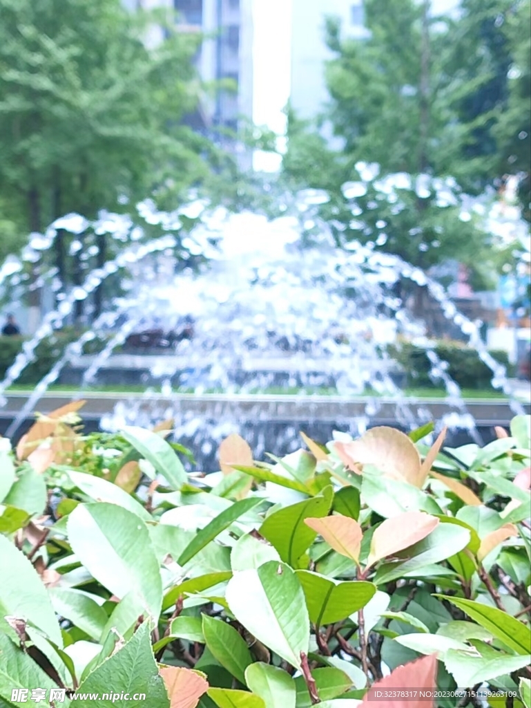 水