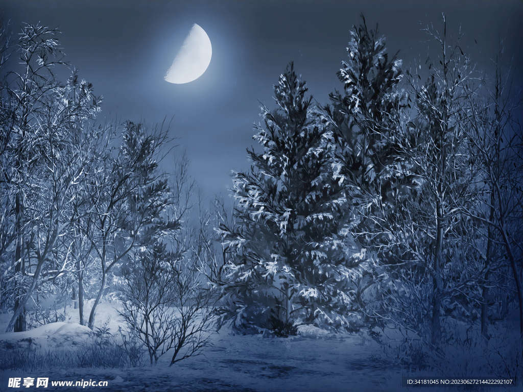 夢幻雪景 