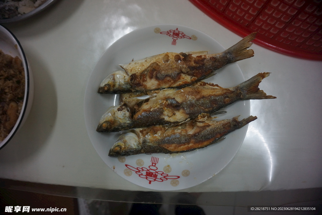 烏頭魚