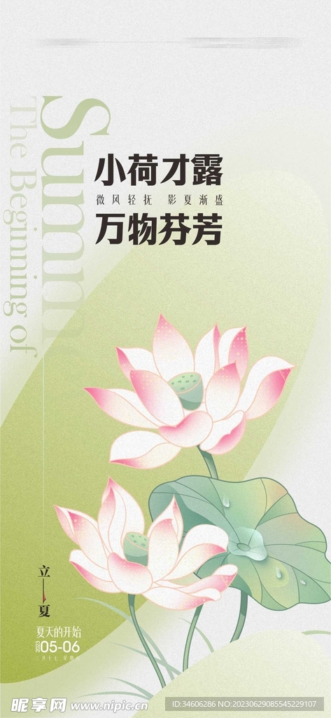 立夏海報設計 插畫 荷花