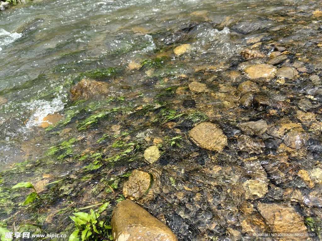 清澈小溪水