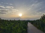 黃昏