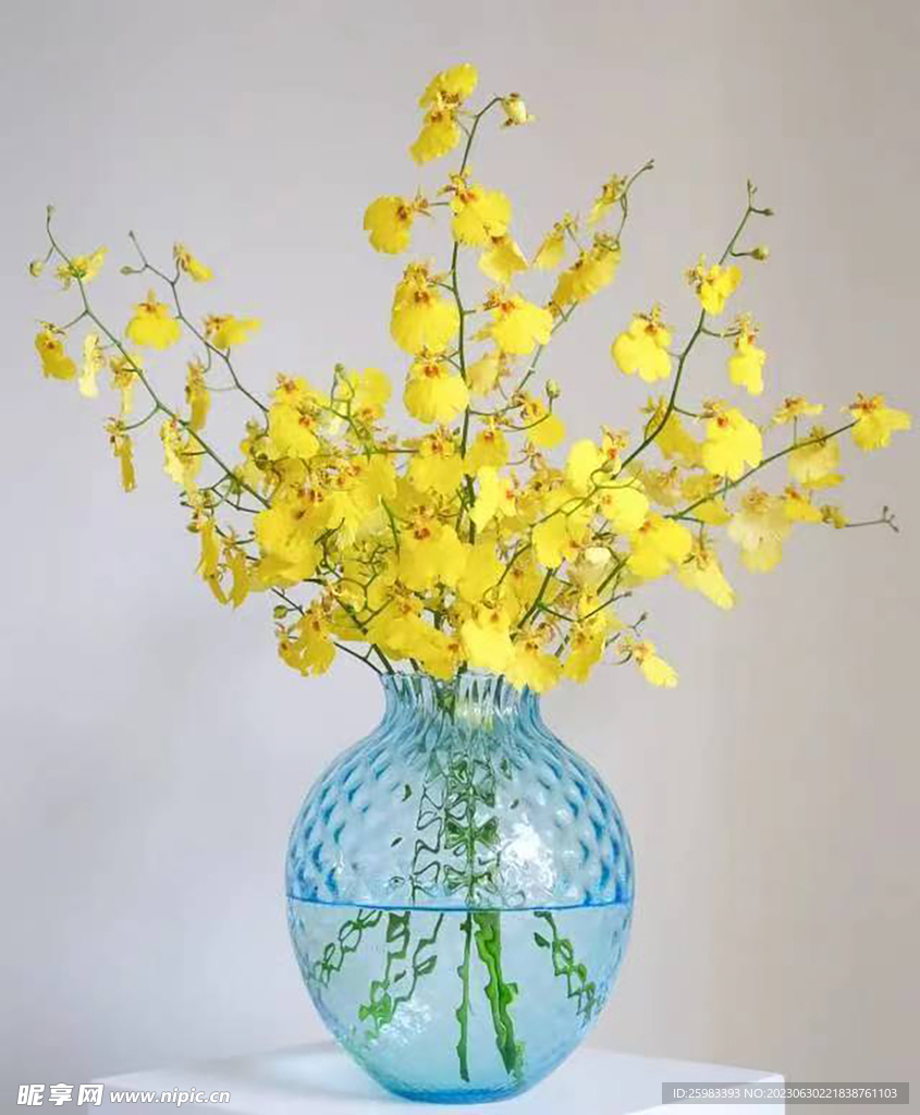 水培鮮花