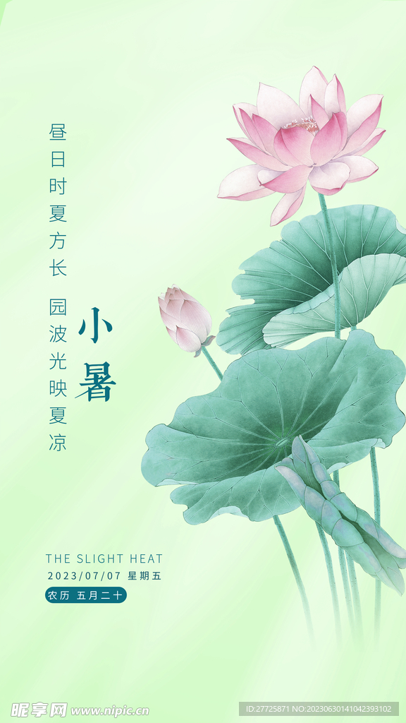 小暑節(jié)氣蓮花海報(bào)