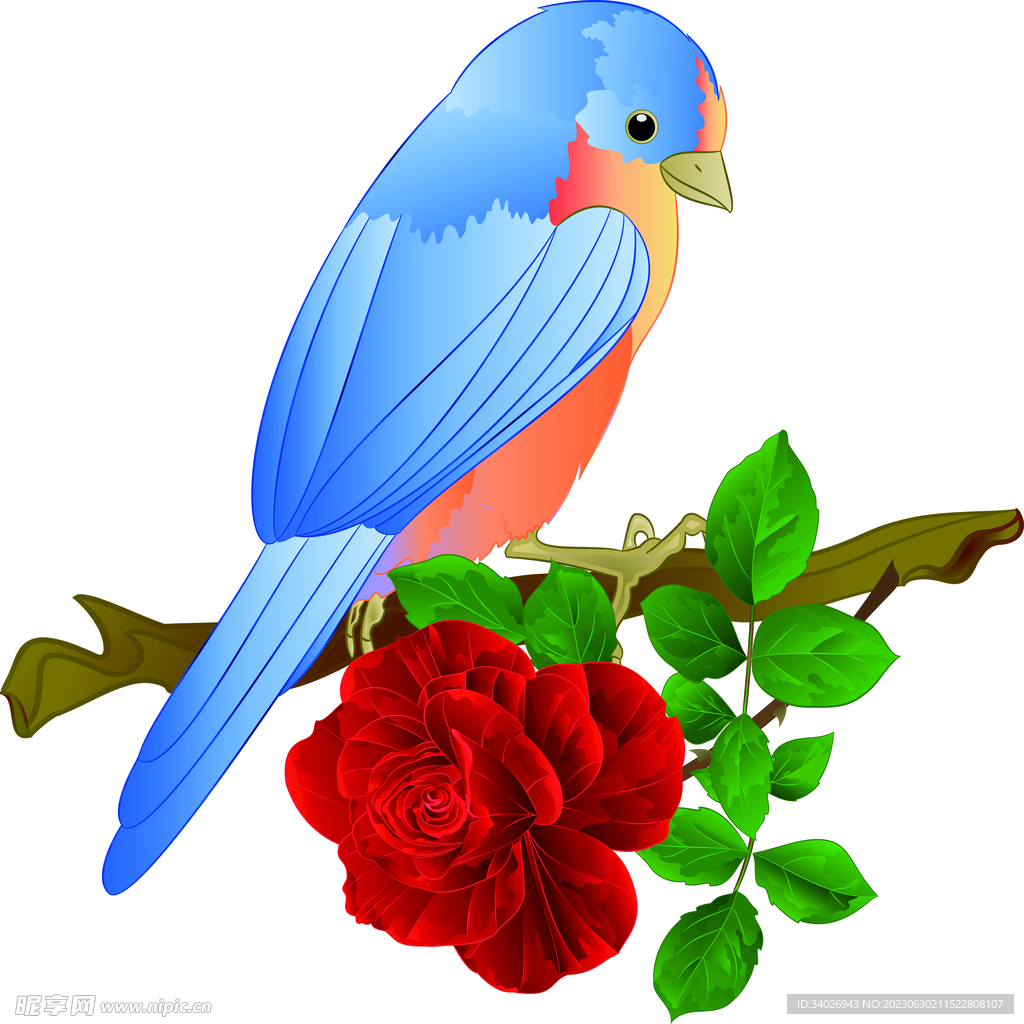 花鳥