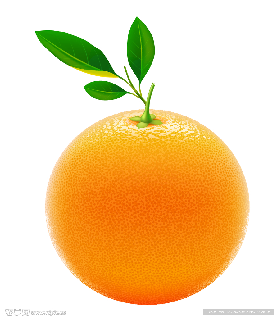 橙子