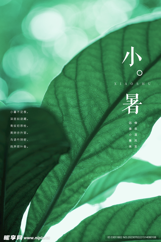 小暑