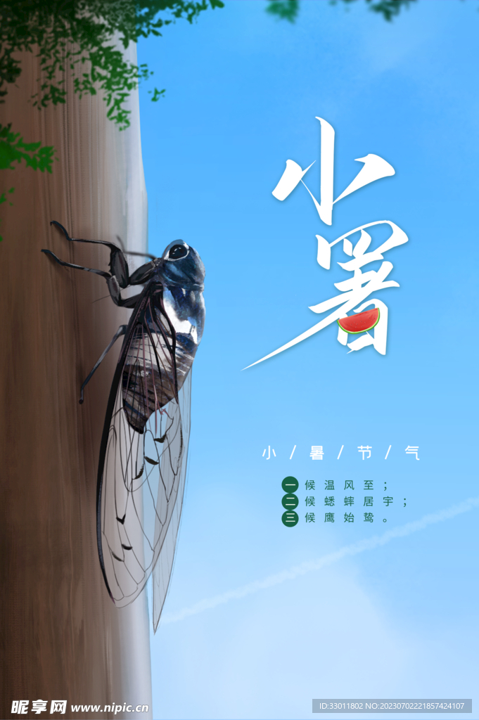 小暑