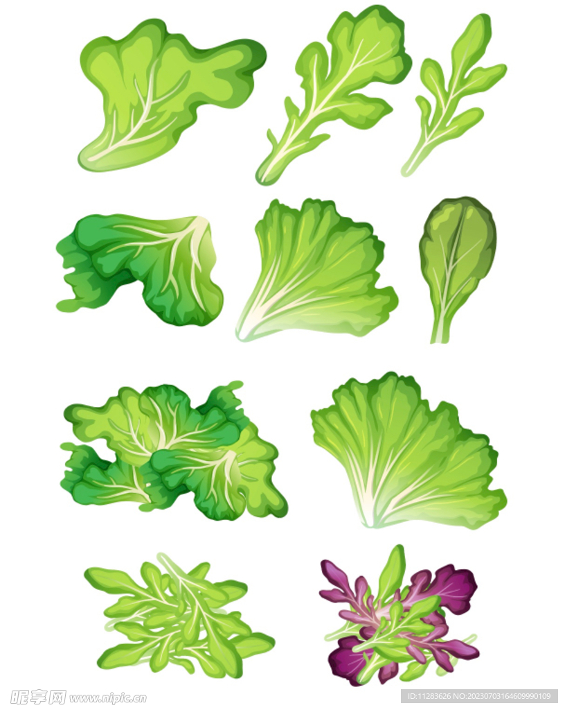 蔬菜青菜