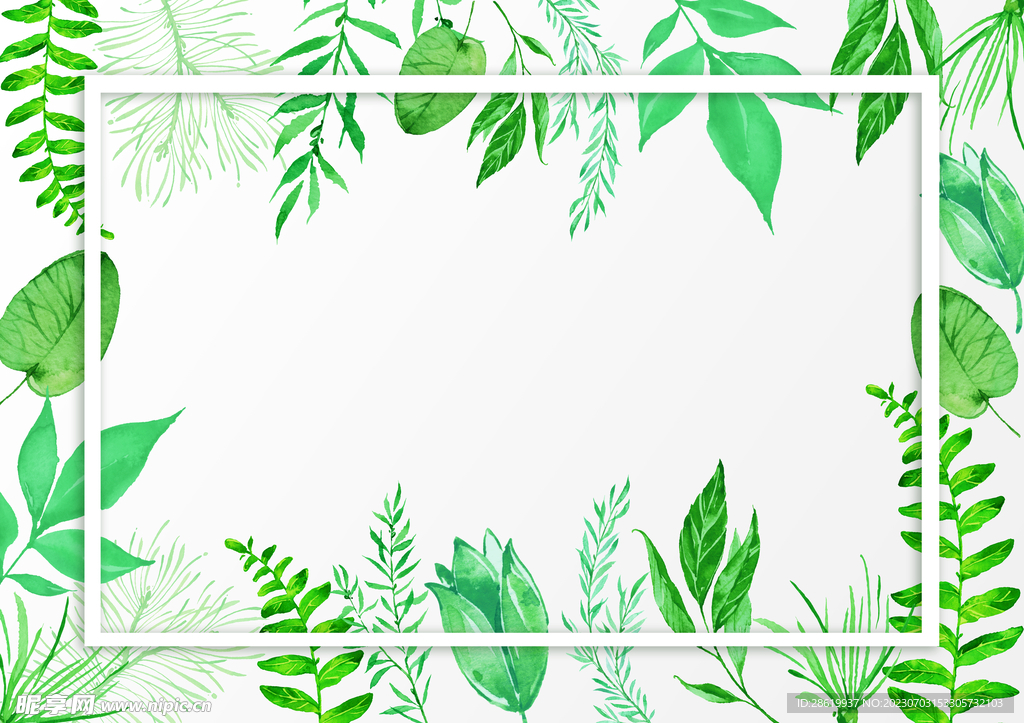 綠植背景