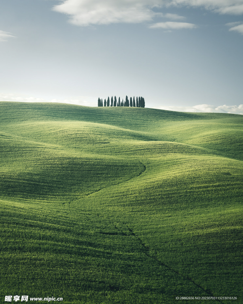 山
