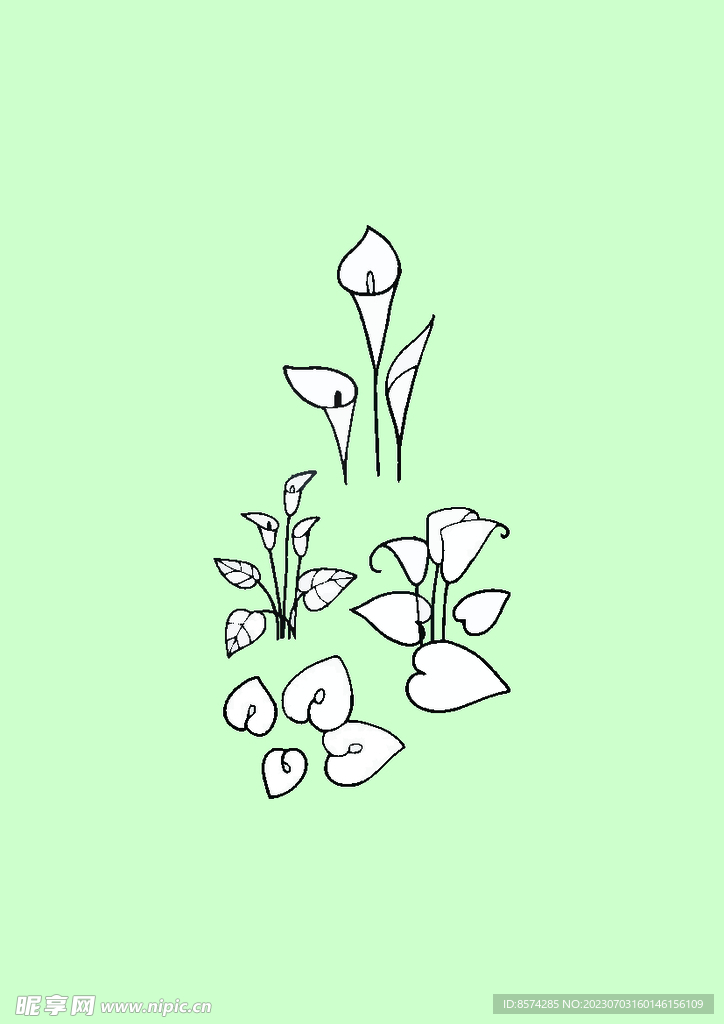 簡筆畫植物