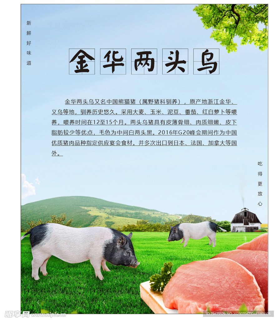金華兩頭烏 豬肉
