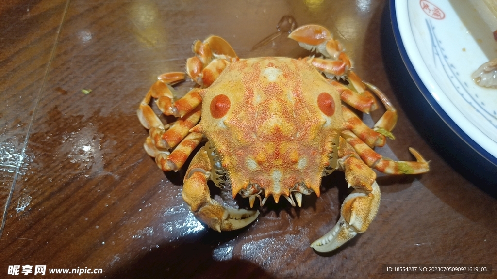 飛蟹