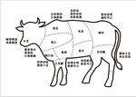 牛身分割图