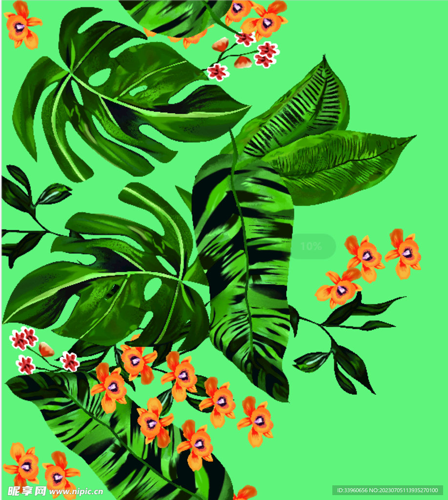 芭蕉葉