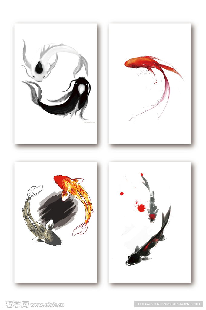 鯉魚