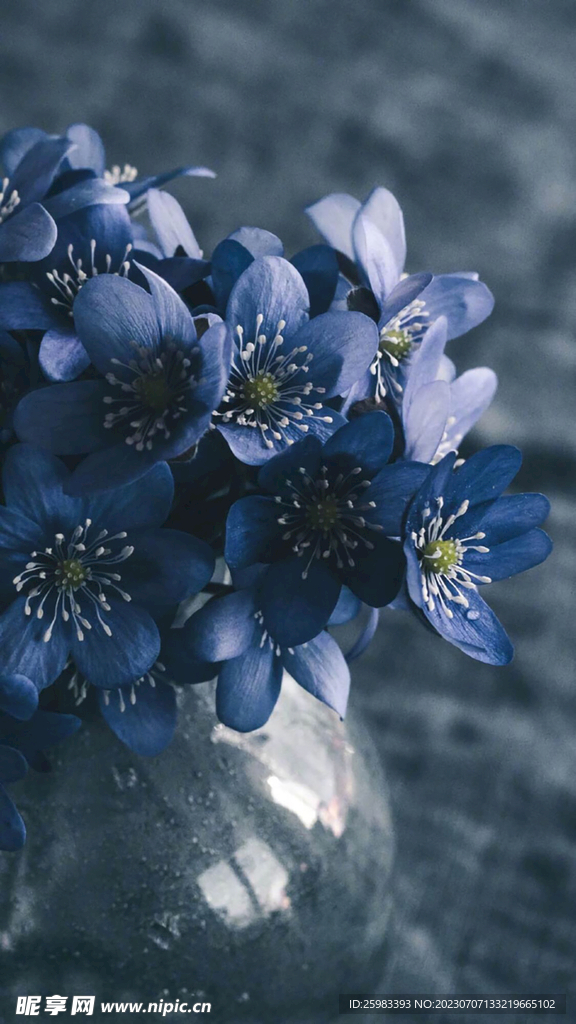 水培鮮花