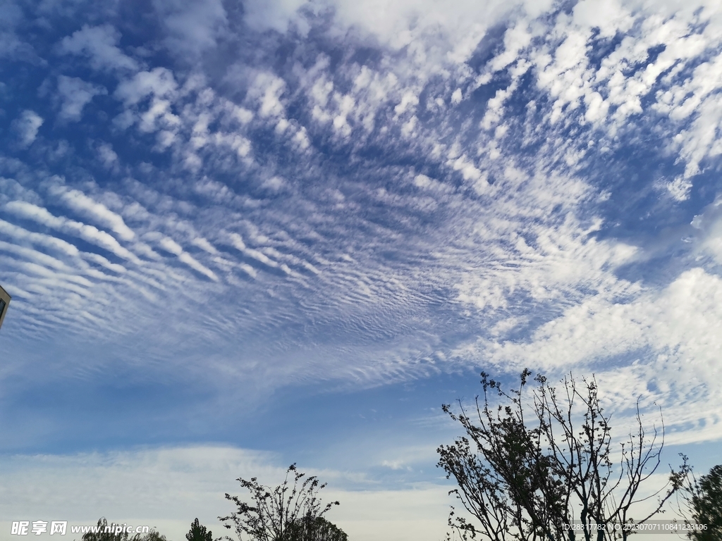 夏日晴空