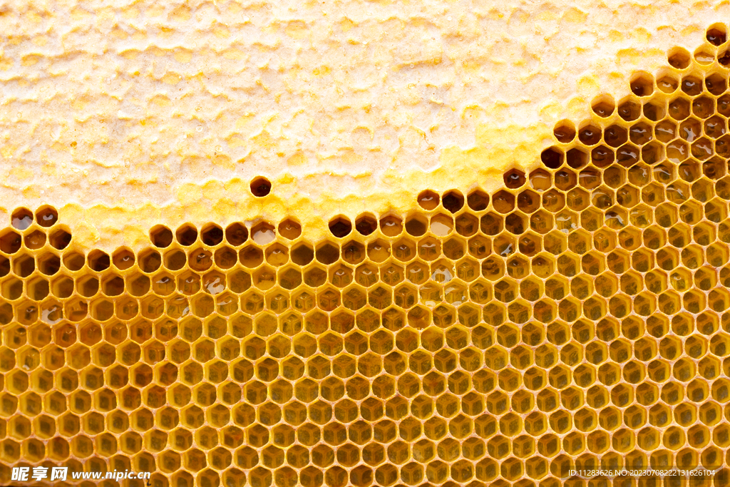 蜂巢蜂蜜