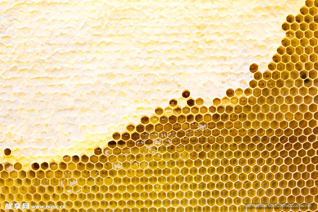 蜂巢蜂蜜