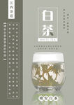 江西茶文化白茶海报2