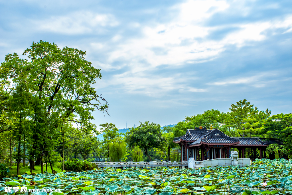 荷塘邊中國風古建筑