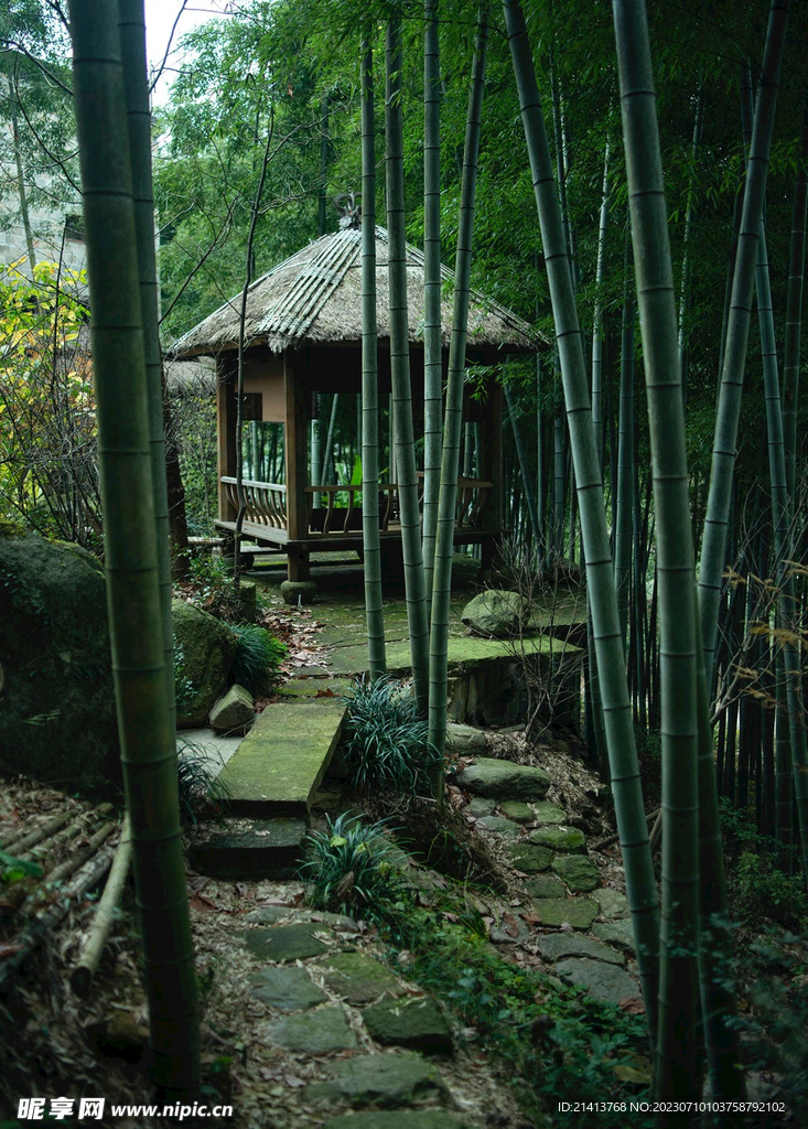 生活點滴素材
