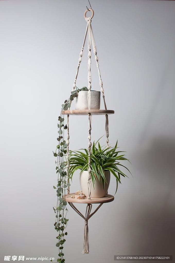 綠植綠葉植物