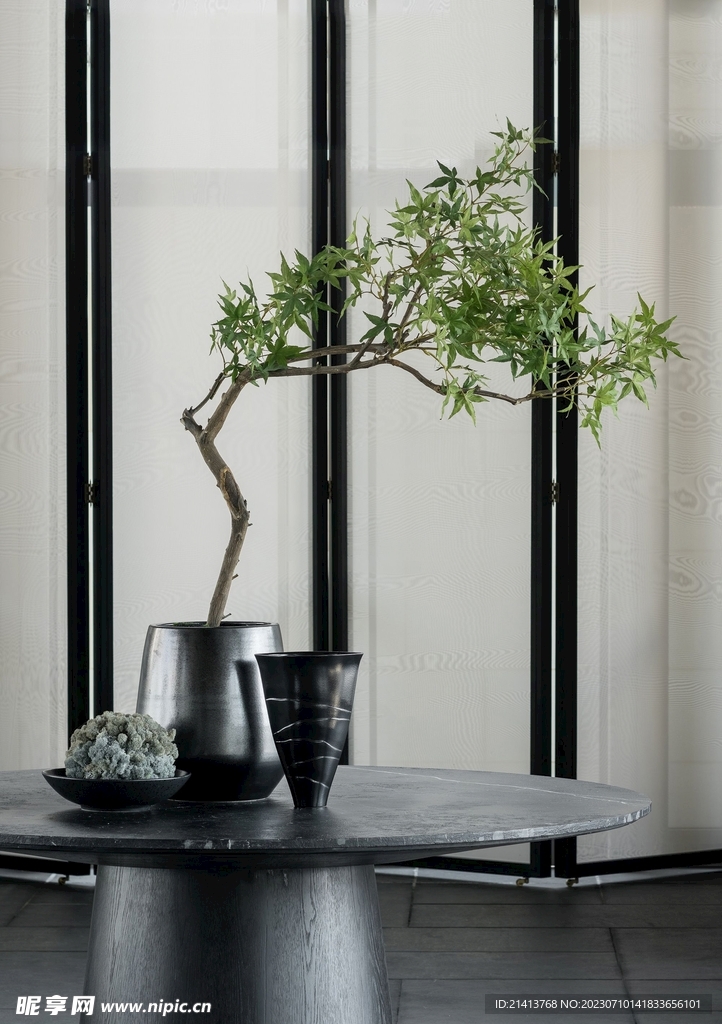 綠植綠葉植物