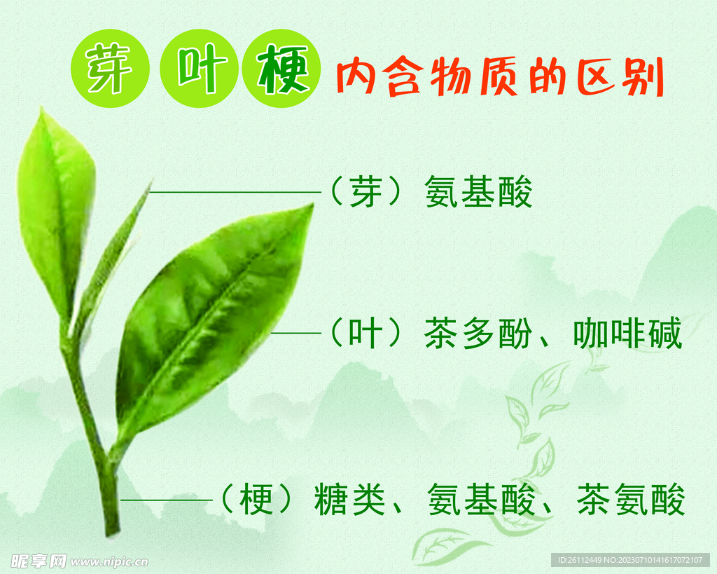 茶芽葉梗