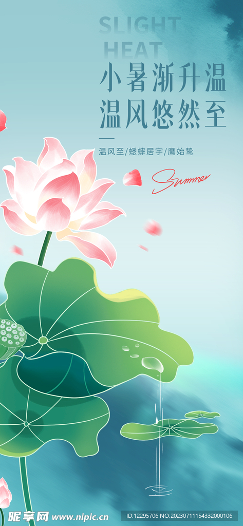 荷花