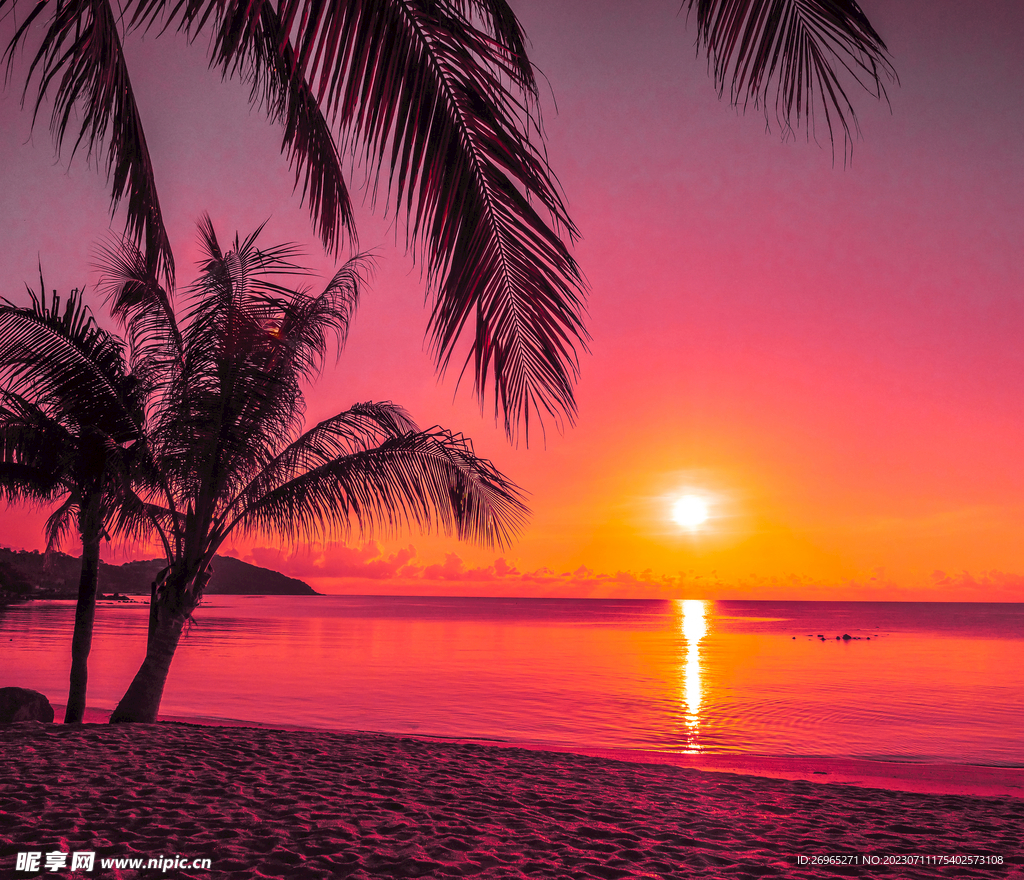 海边椰树落日图片