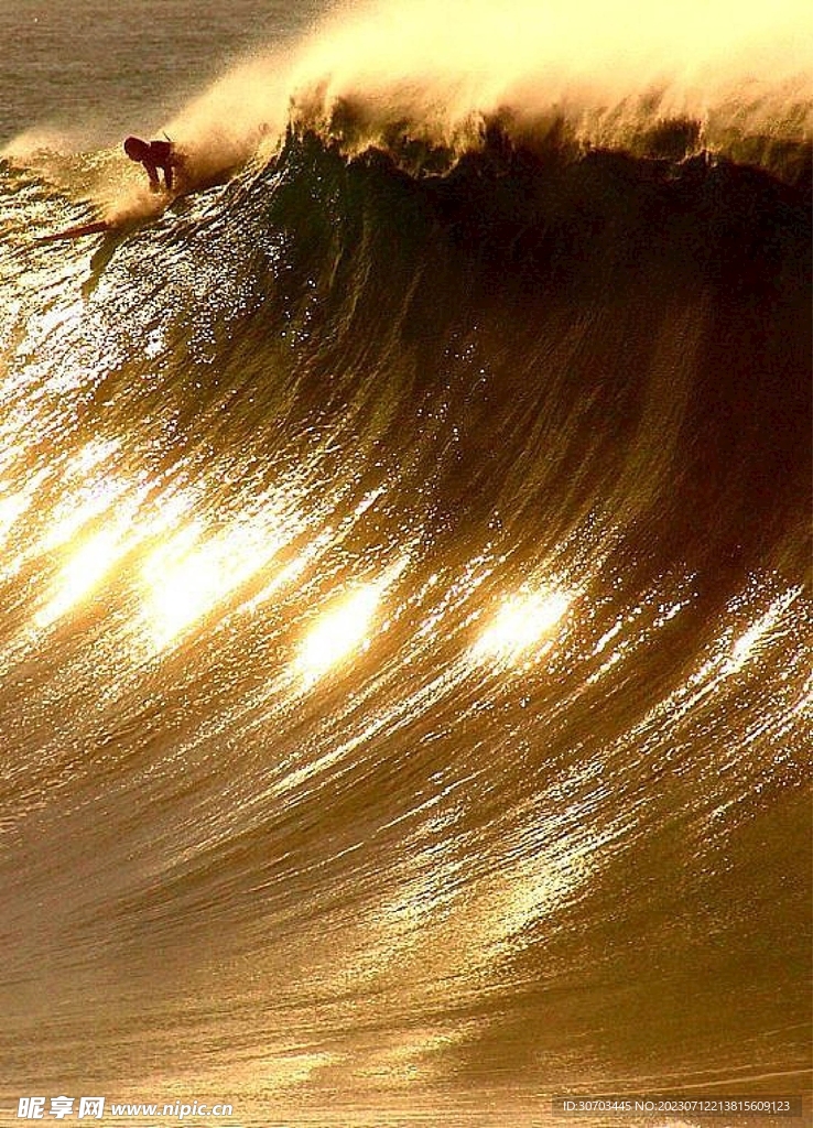 金色海浪