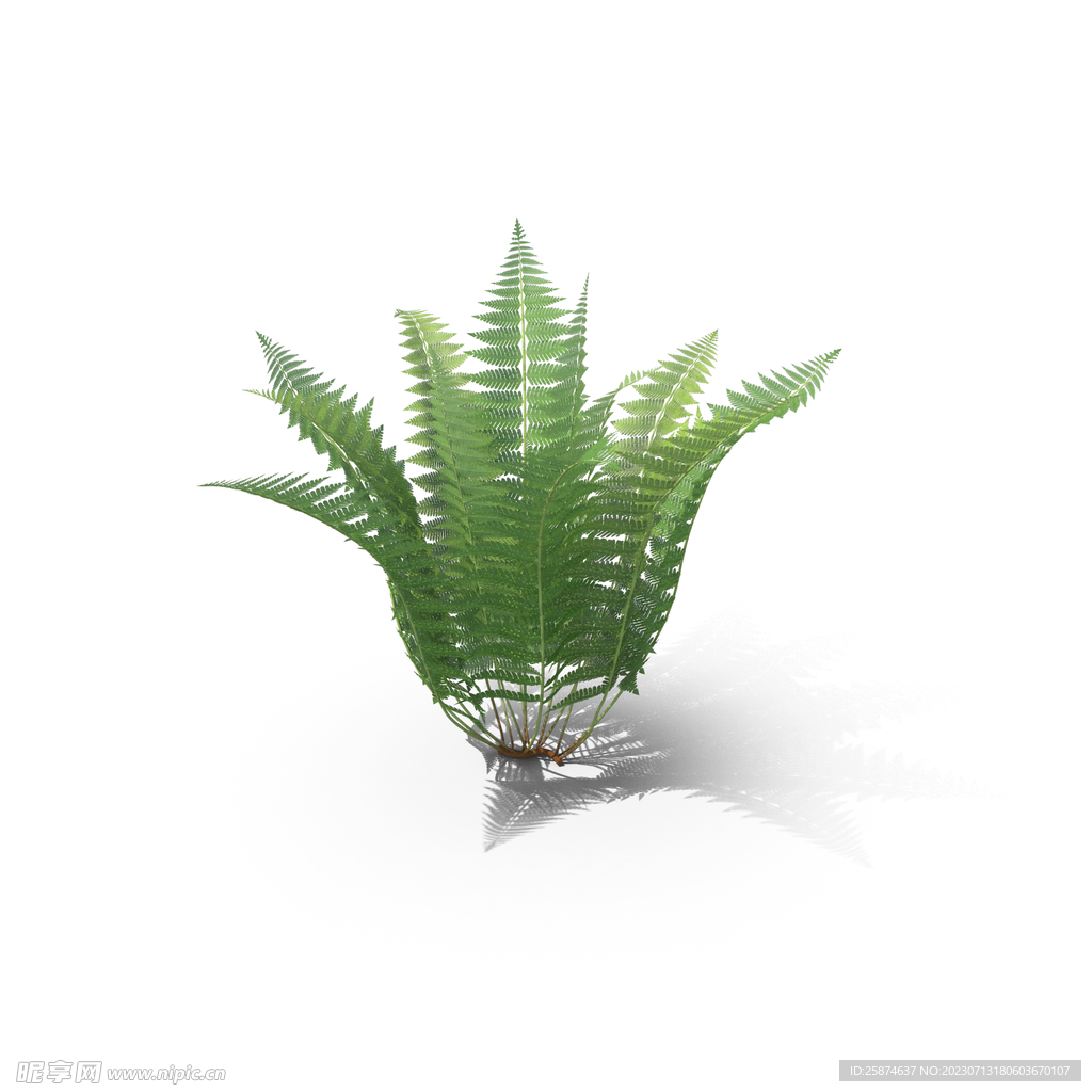 花草