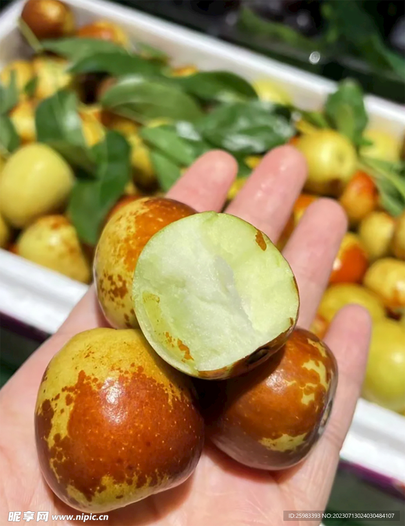 西北大脆棗