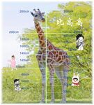 比高高